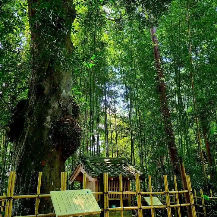 龍潭寺(静岡県)