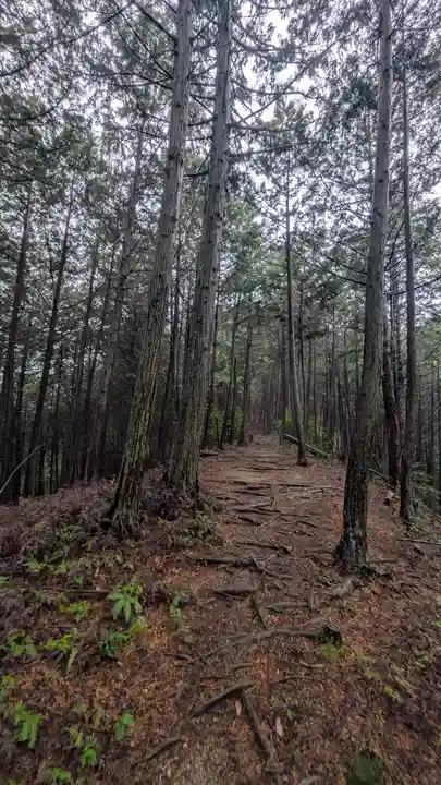 秋葉神社(京都府)
