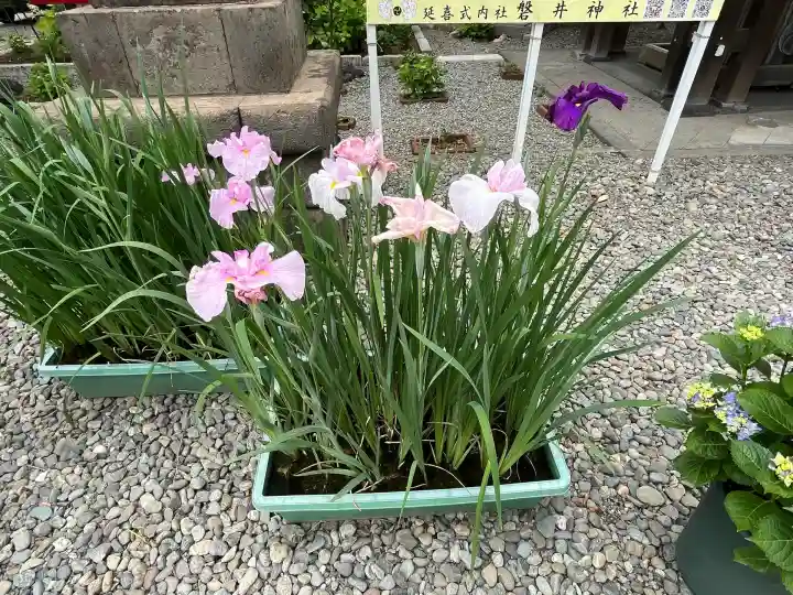 磐井神社(東京都)