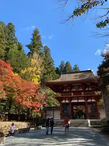 室生寺の山門