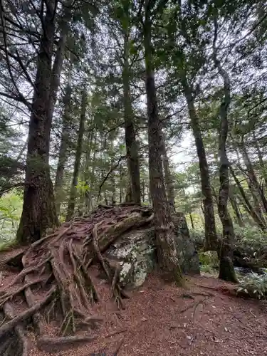 穂高神社奥宮の自然