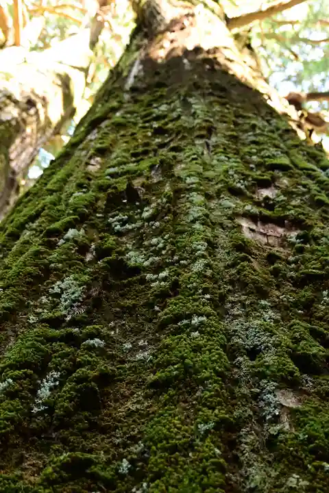 河内神社(高知県)
