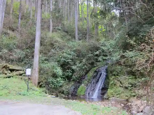 二上神社の自然