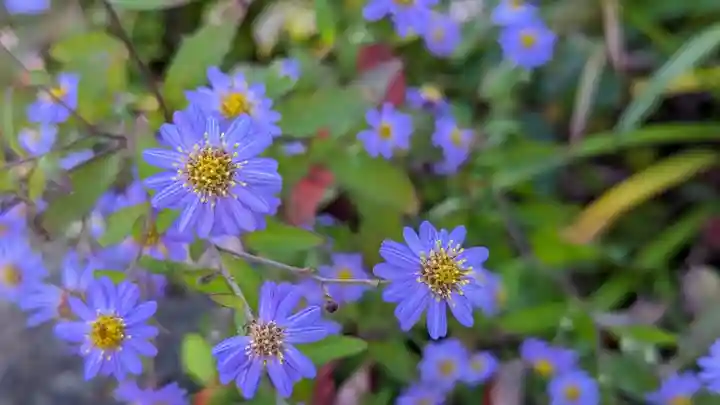 勧修寺(京都府)