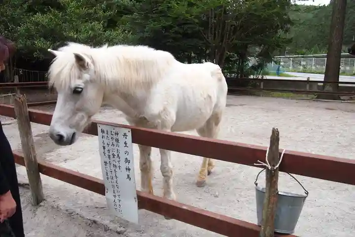 丹生川上神社(下社)(奈良県)