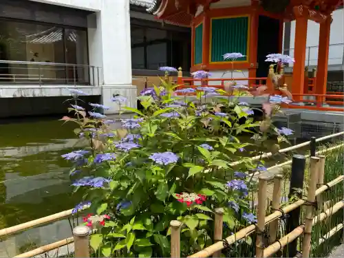 頂法寺（六角堂）(京都府)