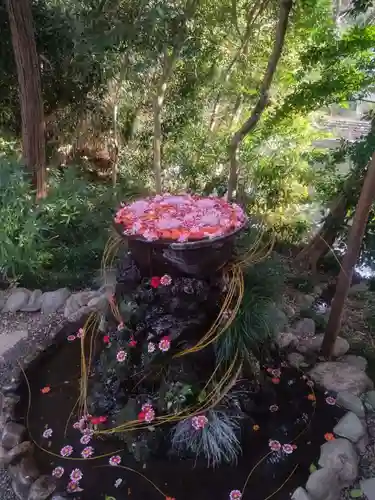 武蔵一宮氷川神社(埼玉県)