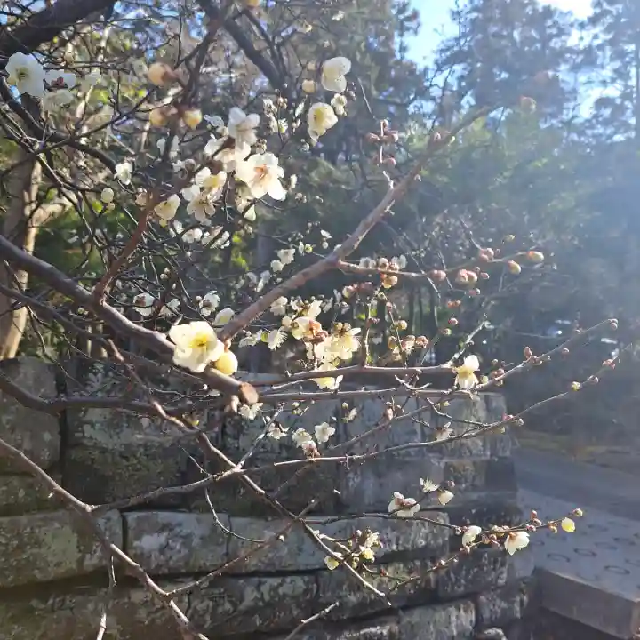 円覚寺の{uncategorized: "未分類", other: "その他", undefined: "問題あり", building: "その他建物", grave: "お墓", sacred_gate: "鳥居", guardian: "狛犬", statue: "像", buddha: "仏像", history: "歴史", nature: "自然", garden: "庭園", animal: "動物", pagoda: "塔", temizu: "手水舎", mountain_gate: "山門・神門", sanctuary: "本殿・本堂", subordinate: "末社・摂社", art: "芸術", scenery: "景色", jizo: "地蔵", ema: "絵馬", goshuin: "御朱印", omikuji: "おみくじ", items: "授与品その他", amulet: "お守り", goshuincho: "御朱印帳", eats: "食事", festival: "お祭り", votive_dance: "神楽", shichigosan: "七五三参", wedding: "結婚式", experience: "体験その他", initially: "初詣", around: "周辺", anti_infection: "感染症対策"}