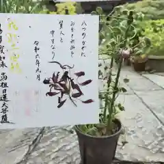 谷中 妙福寺の御朱印