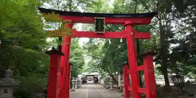 峯ヶ岡八幡神社の鳥居