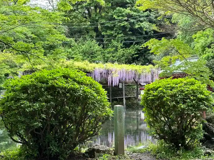 富士山本宮浅間大社(静岡県)