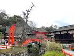 賀茂御祖神社（下鴨神社）の建物その他