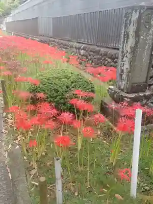 横浜　西方寺(神奈川県)