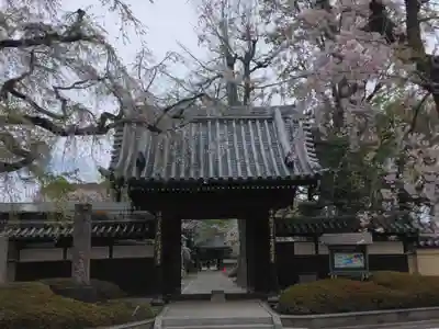 松月院(東京都)