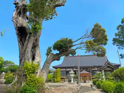 和光院(田島の血不動尊)のその他建物