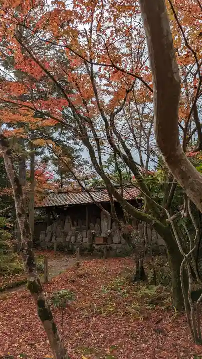 蓮華寺(洛北蓮華寺)(京都府)