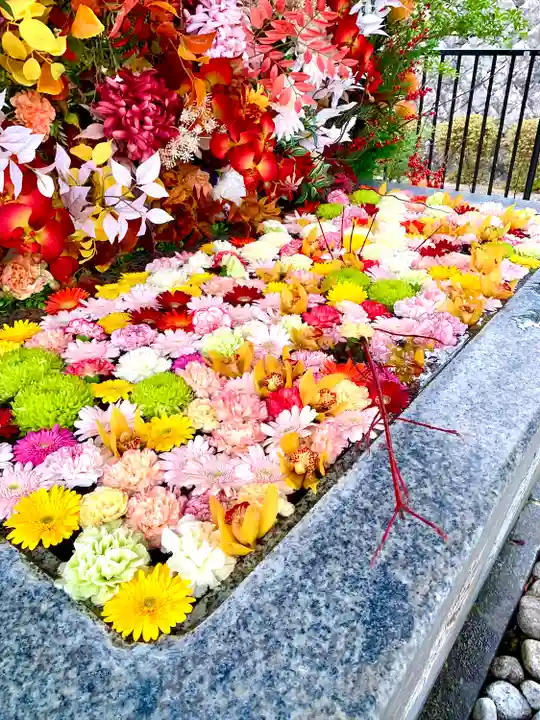 金蛇水神社(宮城県)