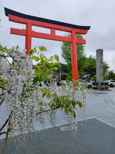 津島神社の鳥居