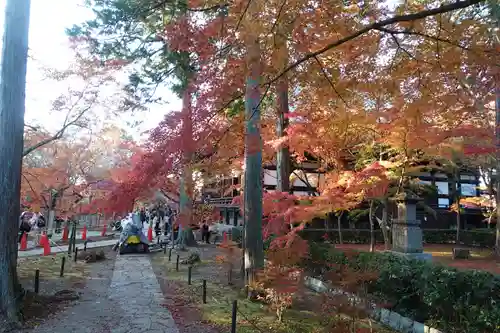 真正極楽寺（真如堂）(京都府)