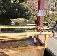 津島神社の手水舎