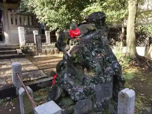 根津神社の狛犬