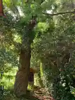 西福寺(千葉県)