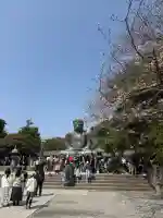 高徳院の{uncategorized: "未分類", other: "その他", undefined: "問題あり", building: "その他建物", grave: "お墓", sacred_gate: "鳥居", guardian: "狛犬", statue: "像", buddha: "仏像", history: "歴史", nature: "自然", garden: "庭園", animal: "動物", pagoda: "塔", temizu: "手水舎", mountain_gate: "山門・神門", sanctuary: "本殿・本堂", subordinate: "末社・摂社", art: "芸術", scenery: "景色", jizo: "地蔵", ema: "絵馬", goshuin: "御朱印", omikuji: "おみくじ", items: "授与品その他", amulet: "お守り", goshuincho: "御朱印帳", eats: "食事", festival: "お祭り", votive_dance: "神楽", shichigosan: "七五三参", wedding: "結婚式", experience: "体験その他", initially: "初詣", around: "周辺", anti_infection: "感染症対策"}