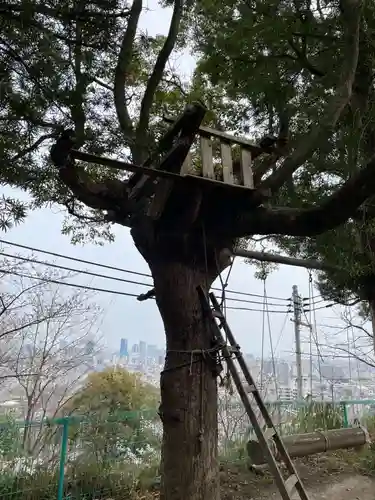 荷松院幸大寺(兵庫県)