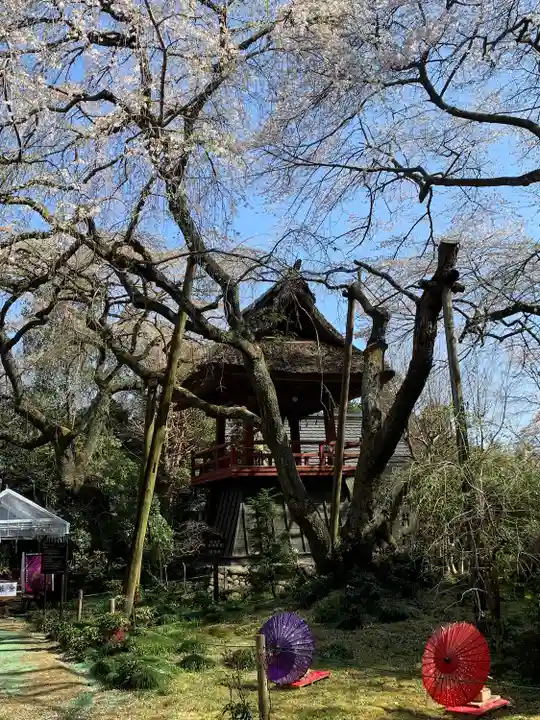 光丸山 法輪寺の庭園