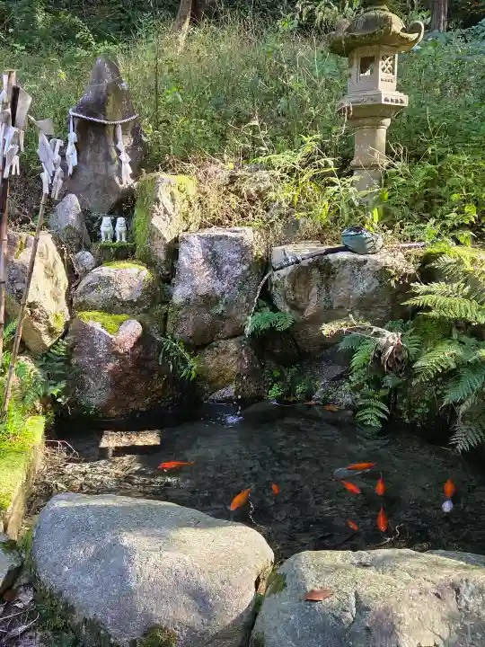 天日陰比咩神社の{uncategorized: "未分類", other: "その他", undefined: "問題あり", building: "その他建物", grave: "お墓", sacred_gate: "鳥居", guardian: "狛犬", statue: "像", buddha: "仏像", history: "歴史", nature: "自然", garden: "庭園", animal: "動物", pagoda: "塔", temizu: "手水舎", mountain_gate: "山門・神門", sanctuary: "本殿・本堂", subordinate: "末社・摂社", art: "芸術", scenery: "景色", jizo: "地蔵", ema: "絵馬", goshuin: "御朱印", omikuji: "おみくじ", items: "授与品その他", amulet: "お守り", goshuincho: "御朱印帳", eats: "食事", festival: "お祭り", votive_dance: "神楽", shichigosan: "七五三参", wedding: "結婚式", experience: "体験その他", initially: "初詣", around: "周辺", anti_infection: "感染症対策"}