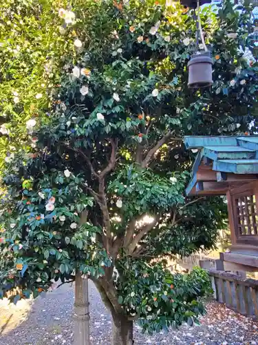 前橋神明宮(群馬県)