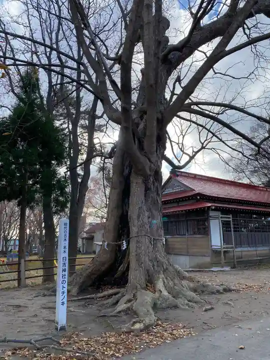 日吉神社(秋田県)