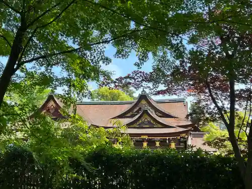 北野天満宮(京都府)