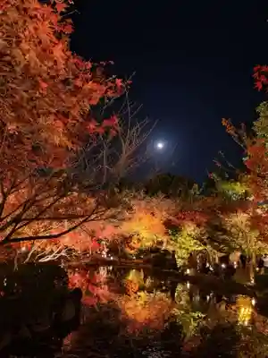 東寺（教王護国寺）(京都府)