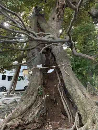 九重神社(埼玉県)