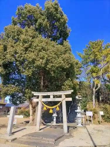 東町秋葉神社の鳥居