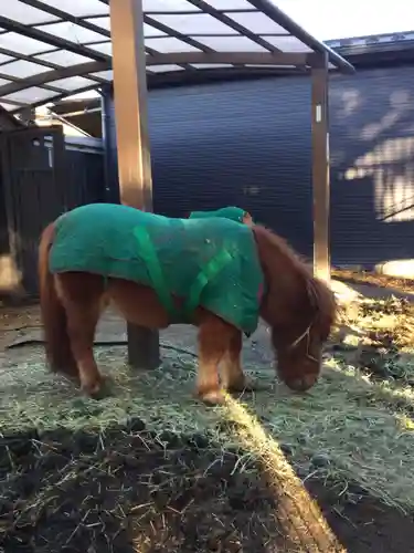 五方山熊野神社(東京都)