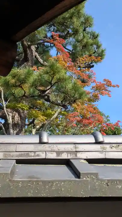 徳雲院(京都府)