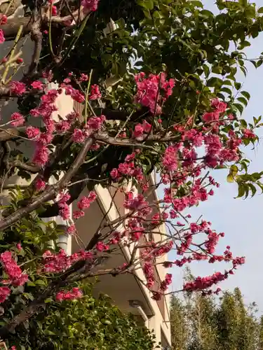 麻布氷川神社(東京都)