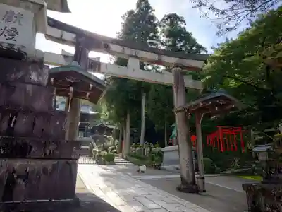 伊奈波神社(岐阜県)