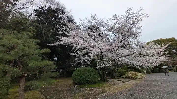 隨心院(随心院)(京都府)