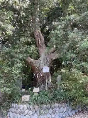 白羽神社(静岡県)