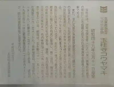 玉桂寺の{uncategorized: "未分類", other: "その他", undefined: "問題あり", building: "その他建物", grave: "お墓", sacred_gate: "鳥居", guardian: "狛犬", statue: "像", buddha: "仏像", history: "歴史", nature: "自然", garden: "庭園", animal: "動物", pagoda: "塔", temizu: "手水舎", mountain_gate: "山門・神門", sanctuary: "本殿・本堂", subordinate: "末社・摂社", art: "芸術", scenery: "景色", jizo: "地蔵", ema: "絵馬", goshuin: "御朱印", omikuji: "おみくじ", items: "授与品その他", amulet: "お守り", goshuincho: "御朱印帳", eats: "食事", festival: "お祭り", votive_dance: "神楽", shichigosan: "七五三参", wedding: "結婚式", experience: "体験その他", initially: "初詣", around: "周辺", anti_infection: "感染症対策"}