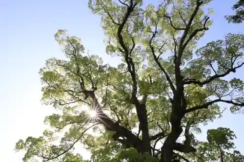 白鳥神社の自然