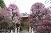 小村井 香取神社の庭園