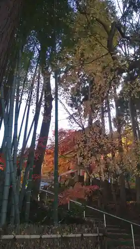 高源寺(滋賀県)