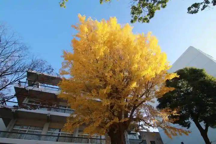 安積國造神社の自然