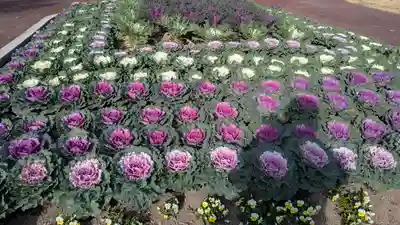 半木神社（賀茂別雷神社境外末社）(京都府)
