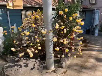 高輪神社(東京都)