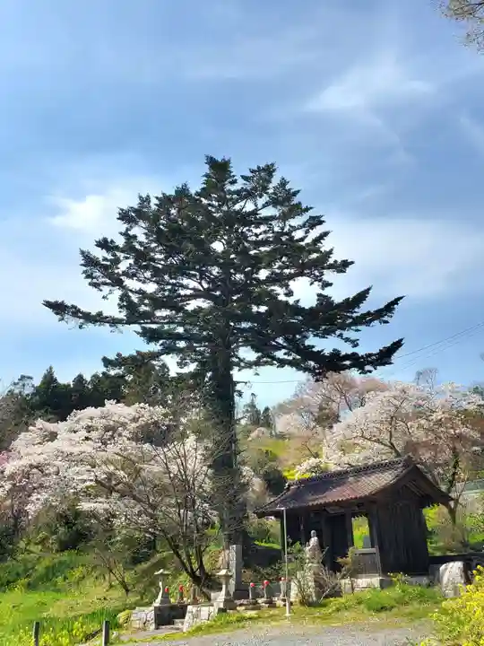 曹洞宗 永松山 龍泉寺(福島県)